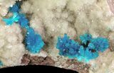 Vibrant Blue Cavansite Clusters on Stilbite - India #64809-1